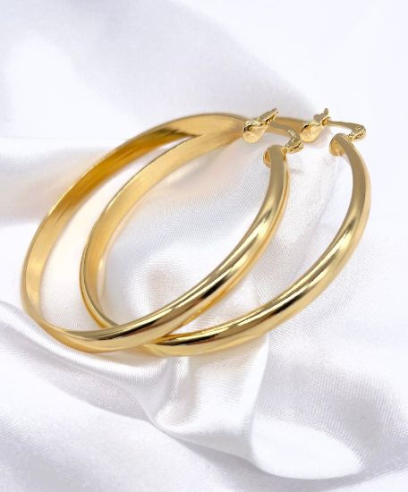 Picture of Gold Filled Hoop Earrings