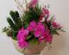 Picture of Artificial Flower Arrangement made Cactus and Succulents Phalaenopsis Orchid Real Touch Orchids Home and Hotel Decoration Mother's Day Gift