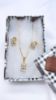 Picture of Necklace and Earrings Set