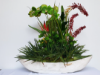 Picture of Artificial Floral Arrangement Centerpiece for Home, Fake Tropical Flowers Green Orchids and Anthuriums Cactus  Artificial Plants Home Décor
