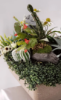 Picture of Centerpiece for Terrace Artificial Foam Flower Succulents Cactus adorned decorative Resin Figure Artificial Tropical Flower Floral Home Décor