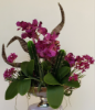 Picture of Artificial Flowers Arrangement Centerpiece Faux Butterfly and Ladys Slipper Phalaenopsis Orchid in Antique Metal Vase Home Décor Mom’s Day