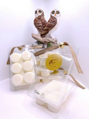 Picture of MALA Melts/ Quemadores de cera - By MALA Candle