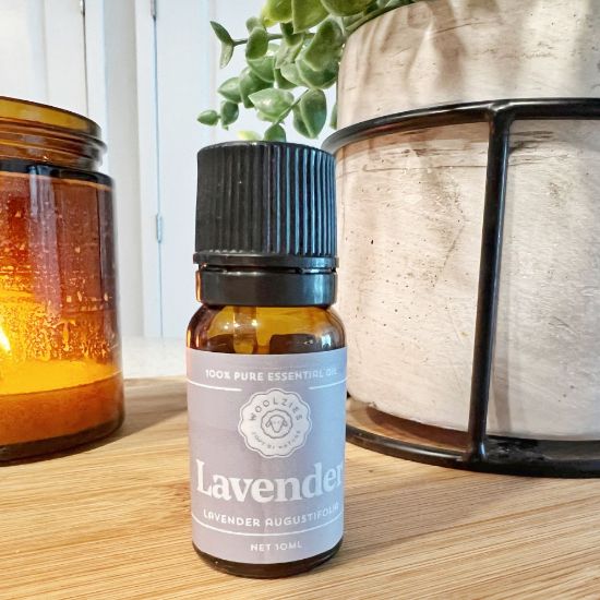 Picture of Lavender  Essentials Oil by DIFANCY  